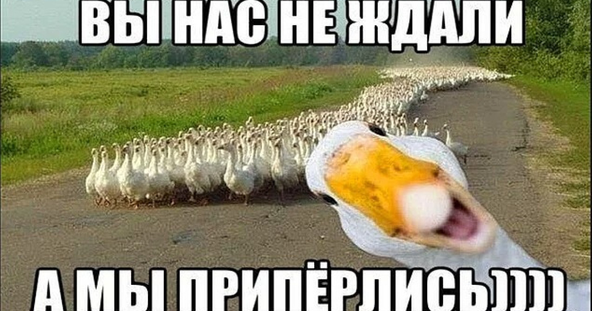 Ностальгия-тест об СССР: Что из той поры сохранилось в вашей памяти?