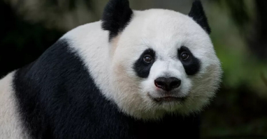 Проверь свои общие знания: 10 вопросов, которые расширят твои горизонты!