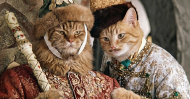 Тренируйся лучше на кошках! Тест для больших любителей советского кино