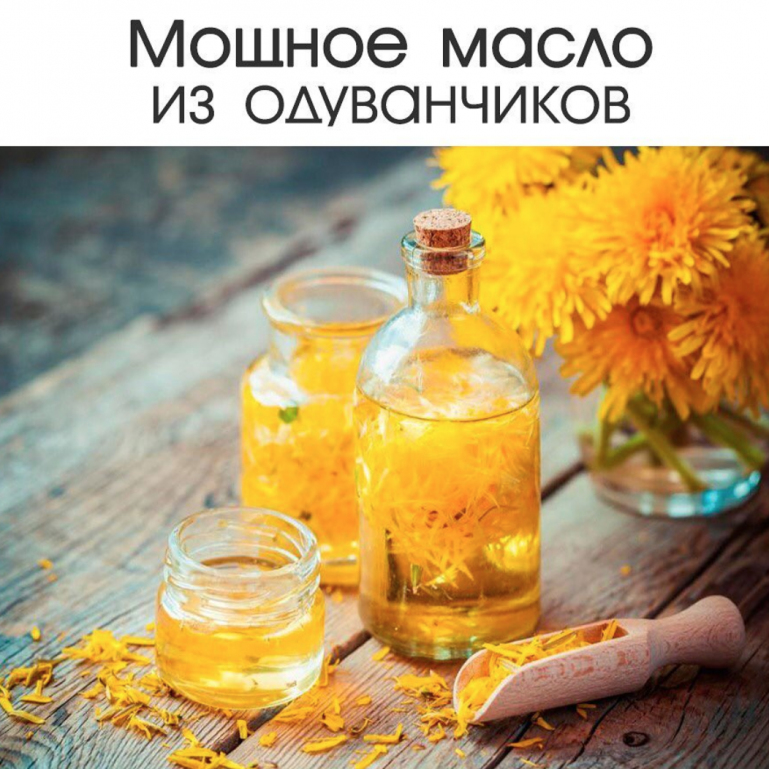 Мощное масло (Одуванчик лекарственный)