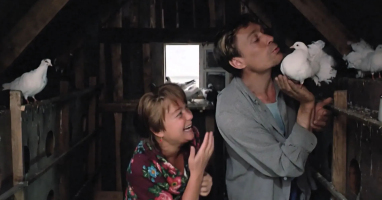 Тест на знание фильма «Любовь и голуби»