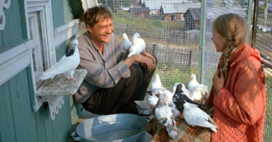 Тест на знание фильма «Любовь и голуби»