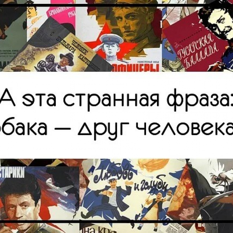 Очень странные фразы. А эта странная фраза собака друг человека. А эта странная фраза.