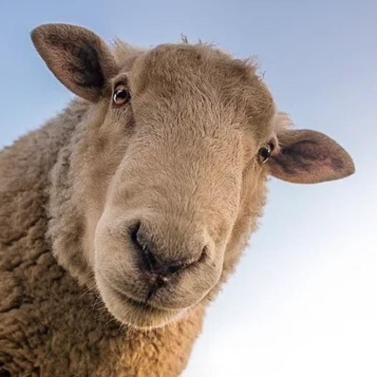 :) Тест на знания: У вас отсутствует эрудированность, если наберете меньше 9 правильных ответов