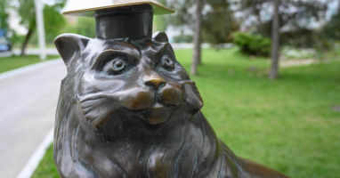 Тест: Хватит ли вашего образованности, чтобы набрать в этот тесте на общие знания хотя бы 7/10?