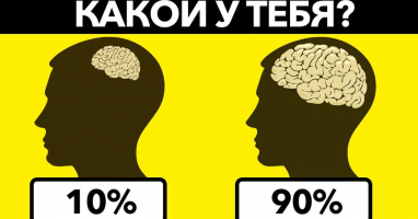 Тест на определение уровня твоего ИНТЕЛЛЕКТА: насколько хорошо развит ТВОЙ УМ?