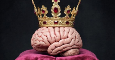 Спорим, вы не сможете ответить на все вопросы нашего теста, если не обладаете идеальной логикой?