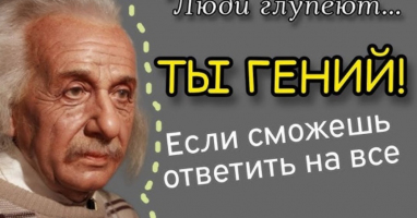 Тест: Вы явно эрудированный человек, если ответите на все вопросы