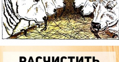 Тест: ЛИШЬ человек с огромным словарным запасом сможет набрать максимальный БАЛЛ