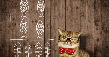 Если вы ответите правильно хотя бы на 8 вопросов из 10, то вашей НАЧИТАННОСТИ можно позавидовать