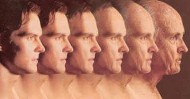 Тест на эрудицию, правильно ответить на все вопросы которого смогут лишь те, кто хорошо подкованы во всех областях знаний